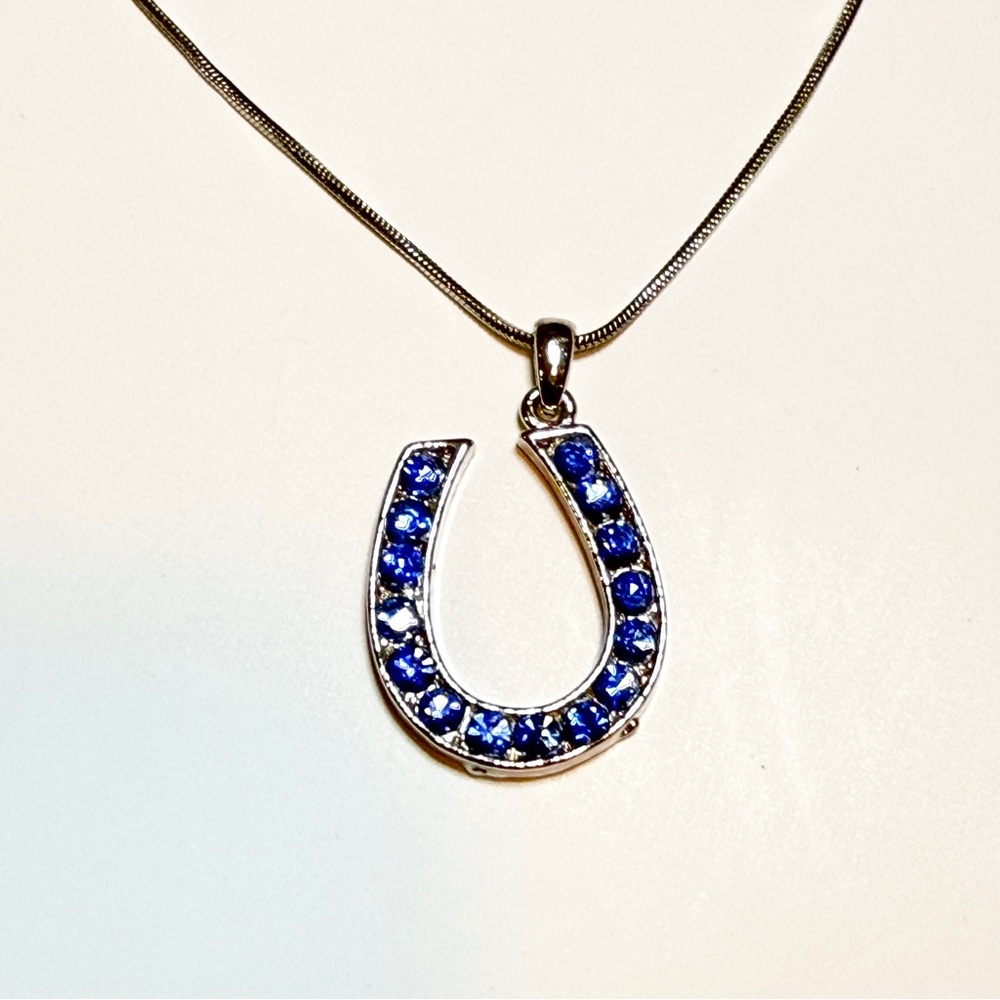 Blue Rhinestone Silver Horseshoe Pendant Necklace - 17”